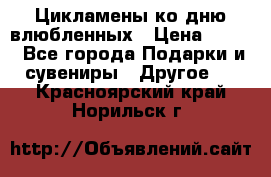 Цикламены ко дню влюбленных › Цена ­ 180 - Все города Подарки и сувениры » Другое   . Красноярский край,Норильск г.